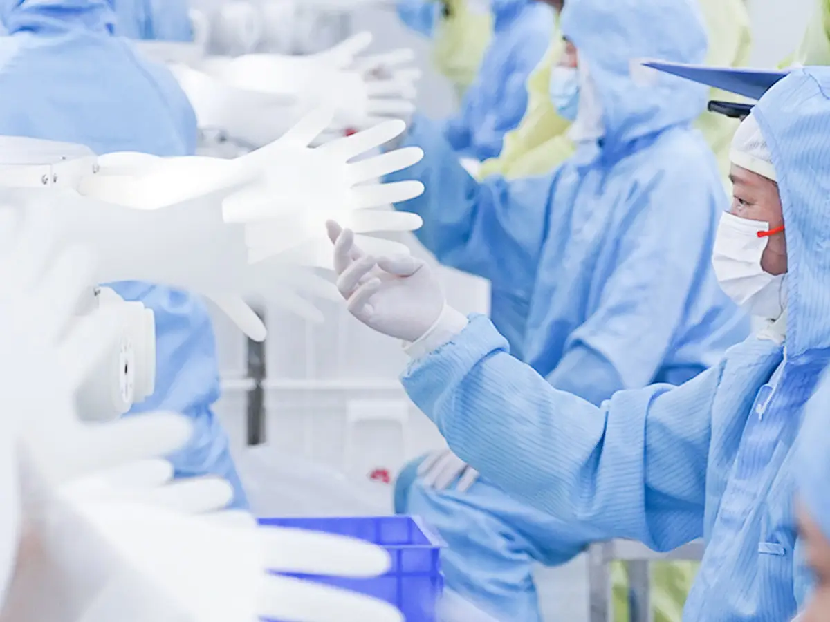 Quality control inspection of Medispo KBD antiviral surgical gloves