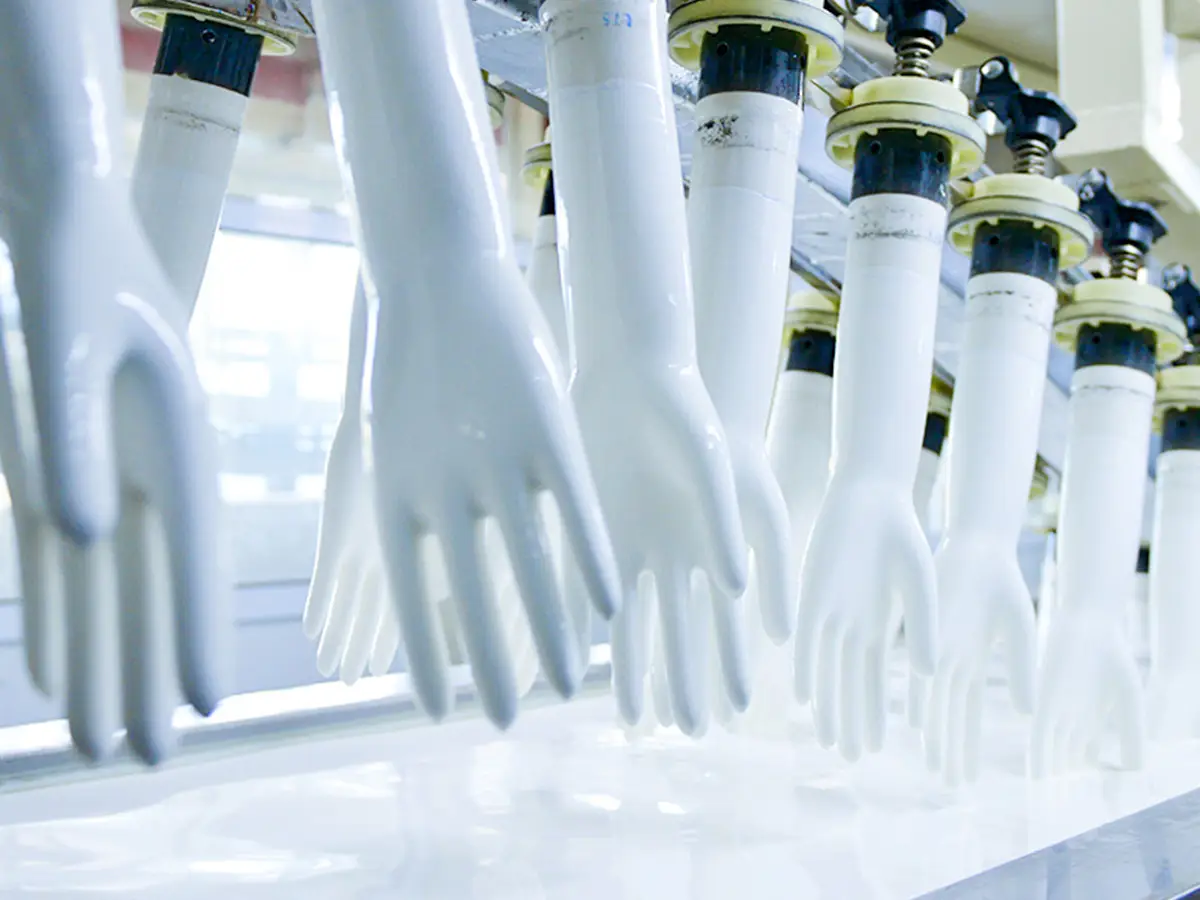 Hand-shaped molds dripping with liquid latex after dipping on a surgical glove production line