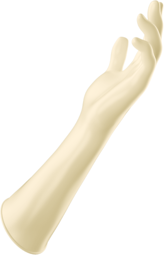 Medispo Complete Range of Surgical Gloves white